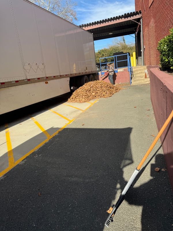 Leaf Removal