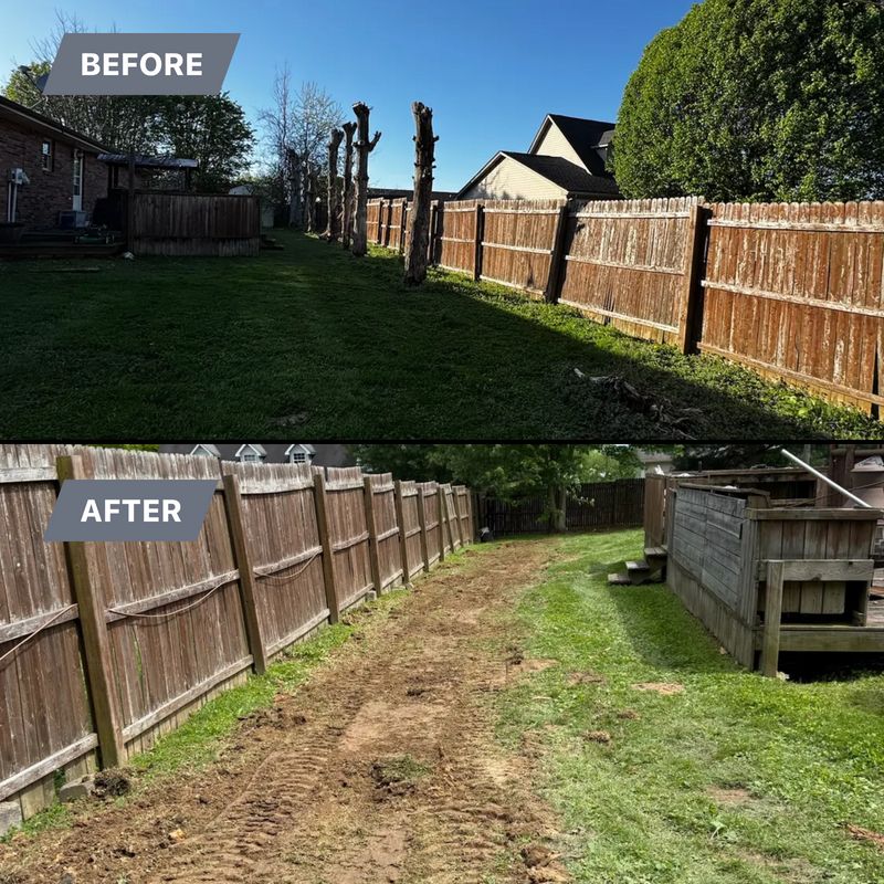 Before & After