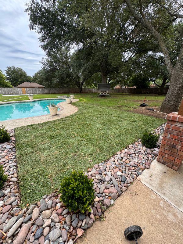 Sod Installation