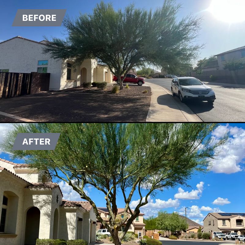 Topiary & Lawn Care