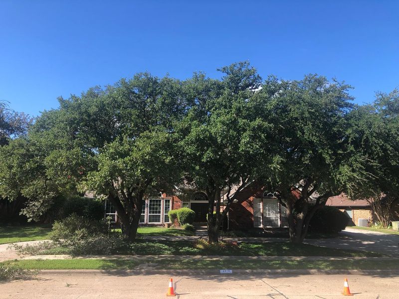 Hardscaping Landscaping