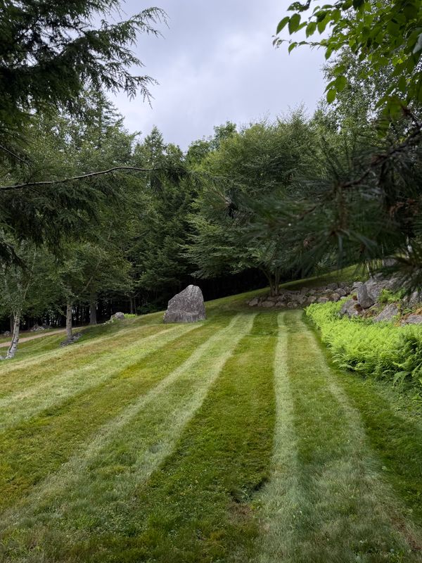 Lawn Maintenance
