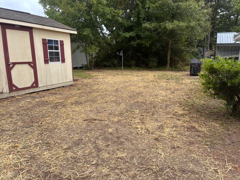 Lawn Aeration and Seeding