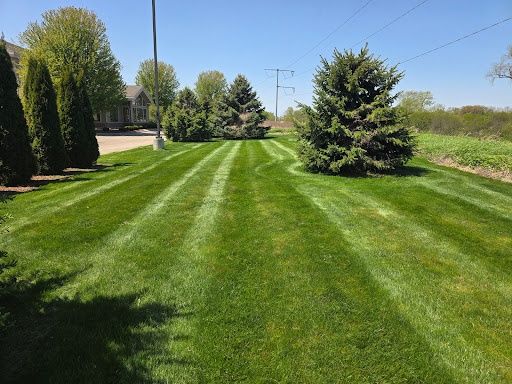 Lawn Mowing