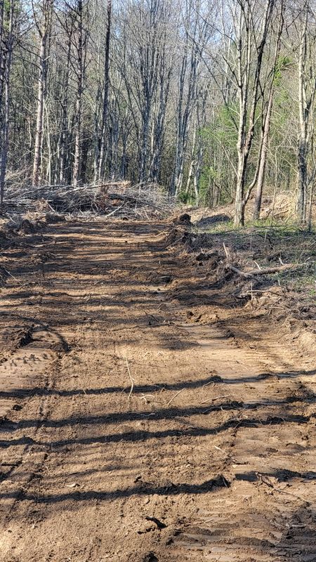 Land Clearing