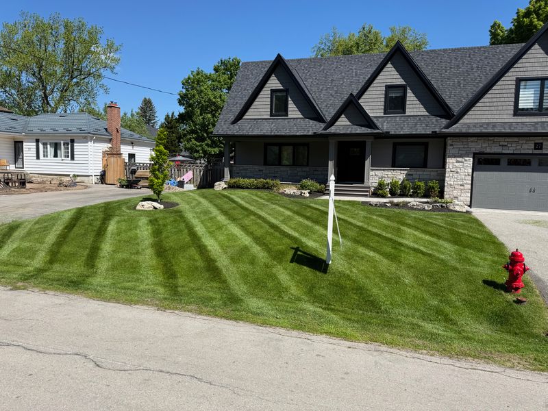 Lawn Mowing