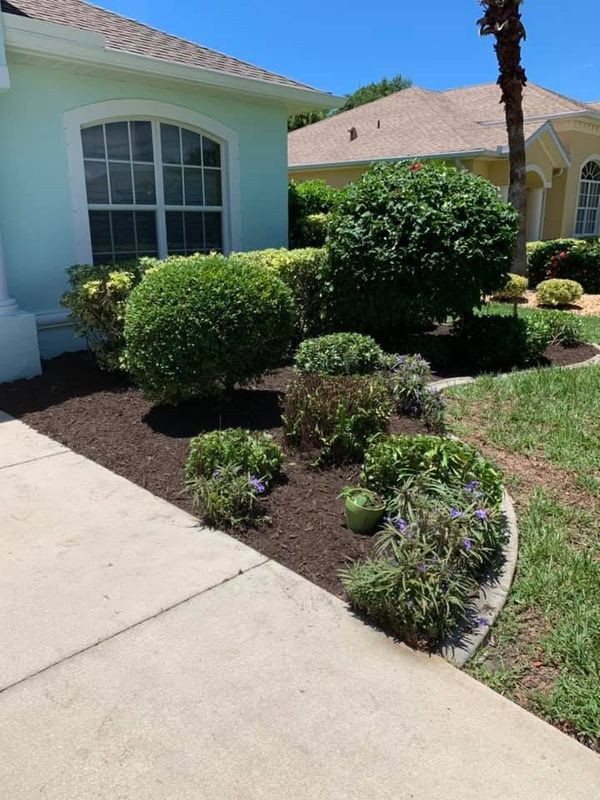 Tree and Shrub Care