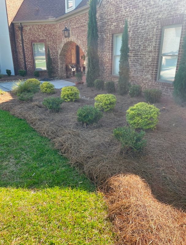 Mulch, Pine Straw Installation
