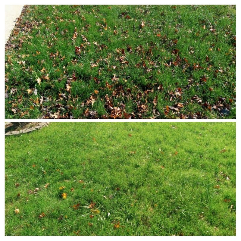 Grass Up