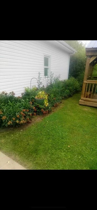 Mulch Installation