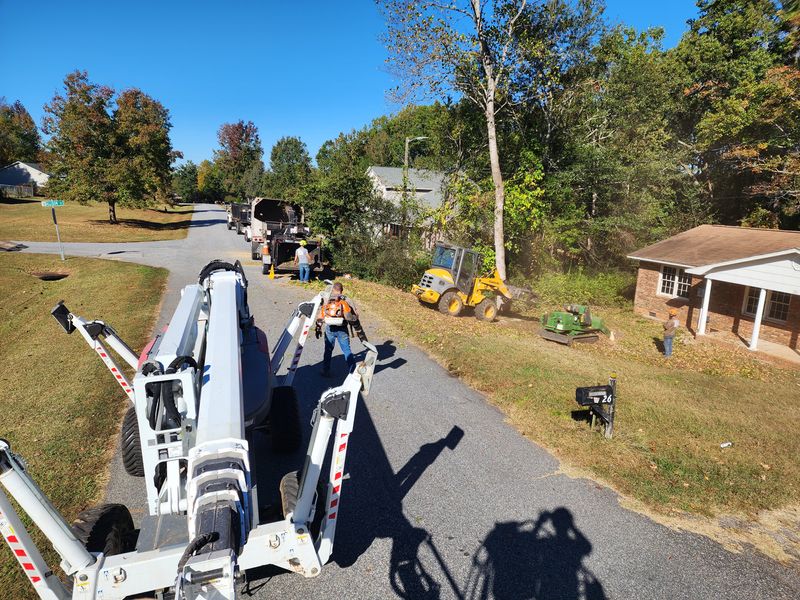 Fall Clean Up