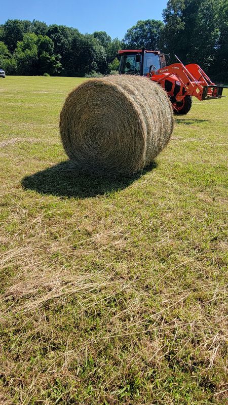 Bush Hogging