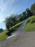Asphalt Seal Coating