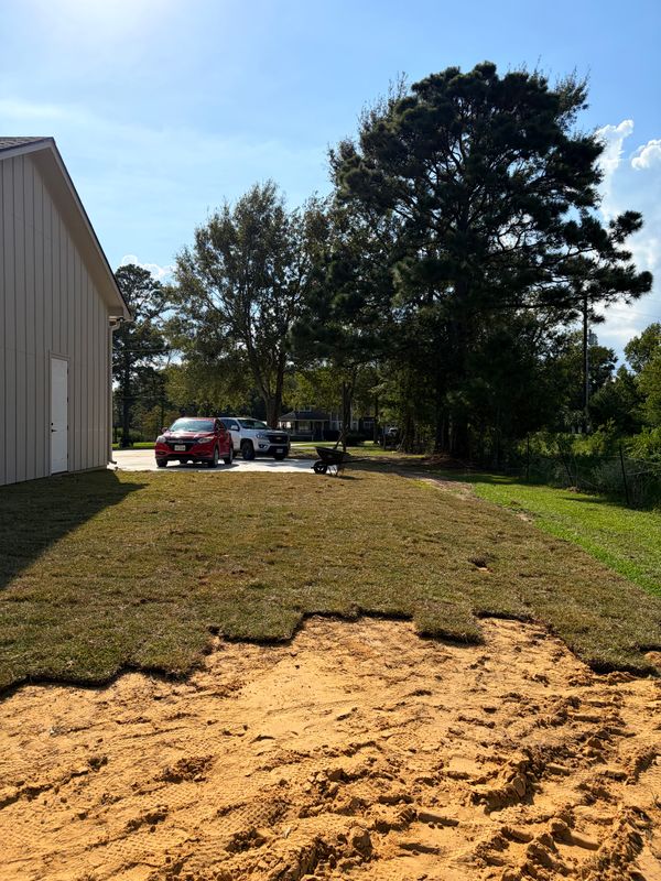 Lawn Maintenance