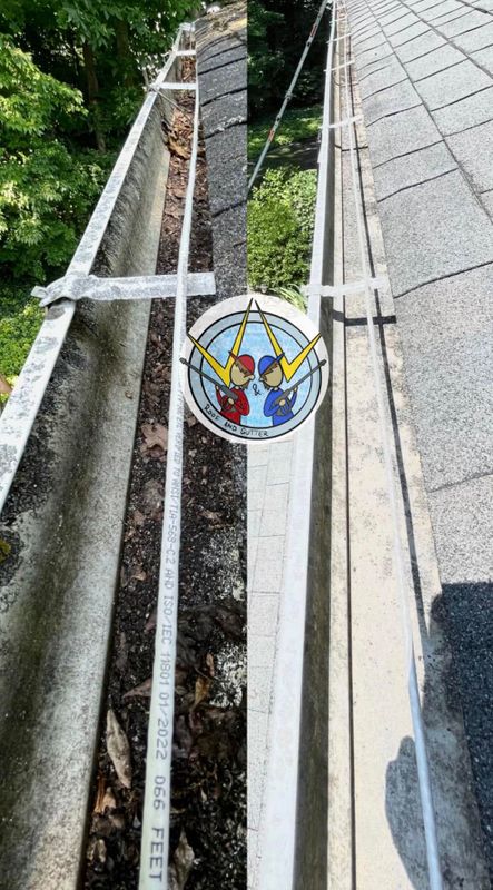 Gutter Cleaning