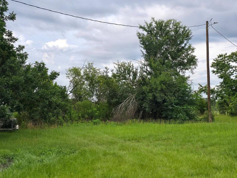 Land Clearing