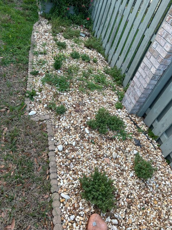 Mulch/ Rock Installation (Add on)