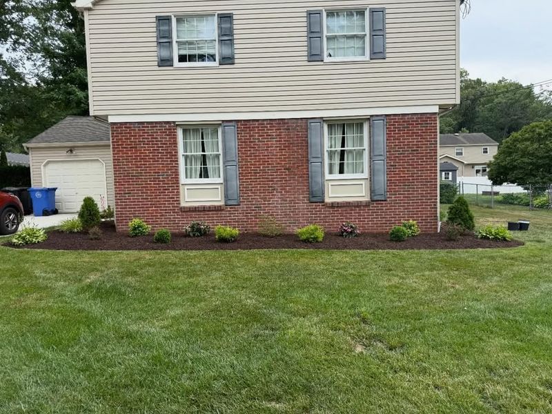 Lawn Care & Maintenance
