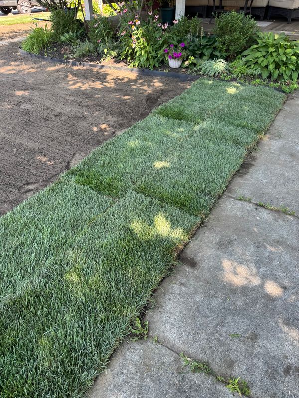 Sodding