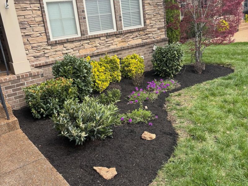 Landscape Design