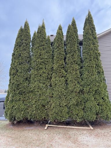 Landscaping