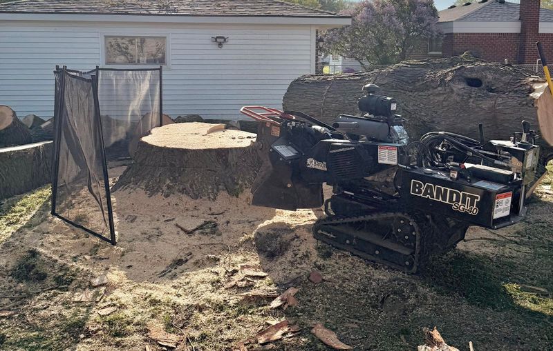 Stump Removal gallery
