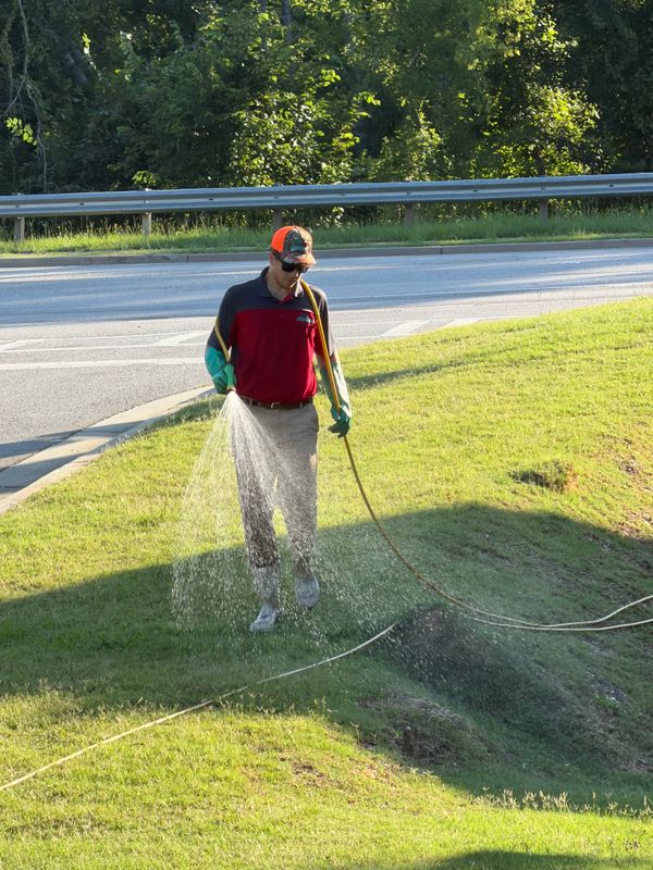 Lawn Care