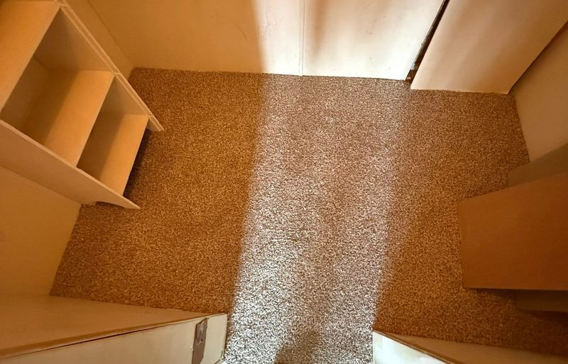 Carpet Installation and Replacement