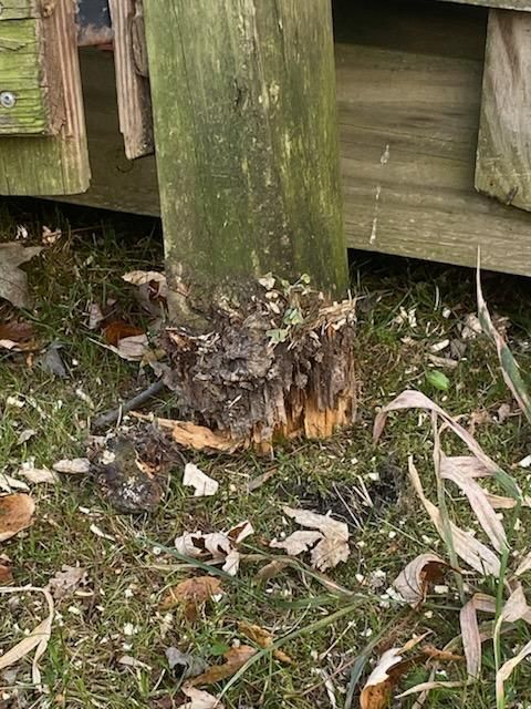 Fence Repair