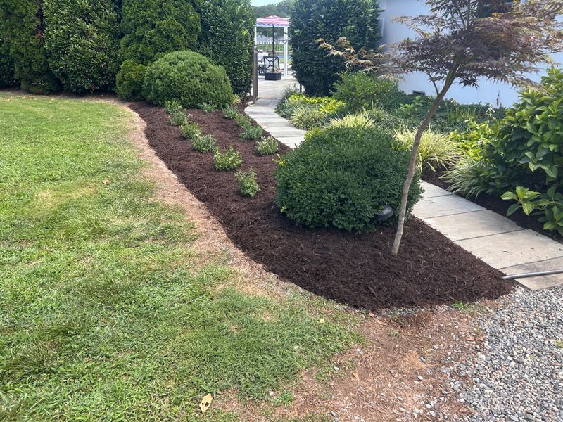 Shrub and Plant Trimming