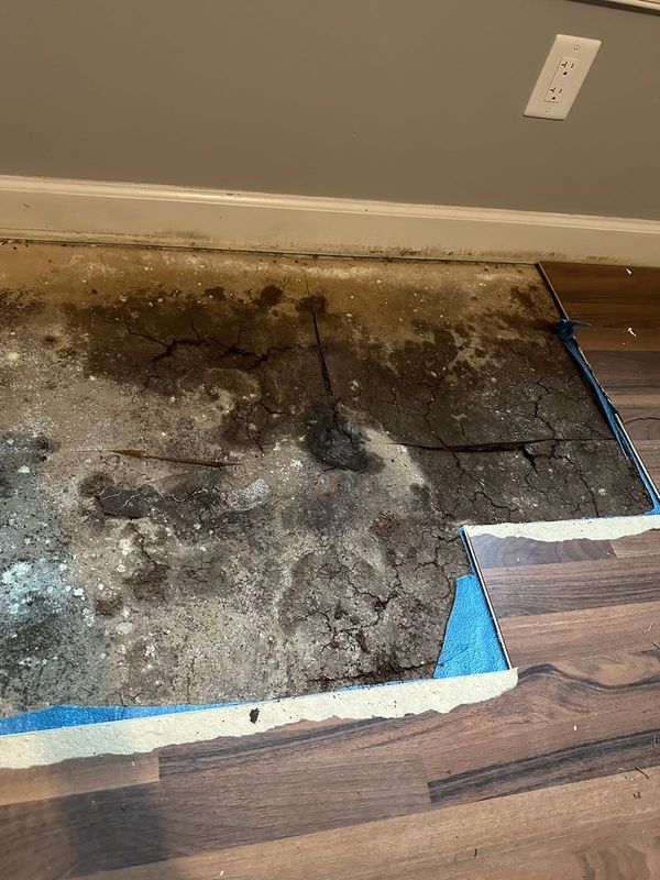 Original Floor Restoration