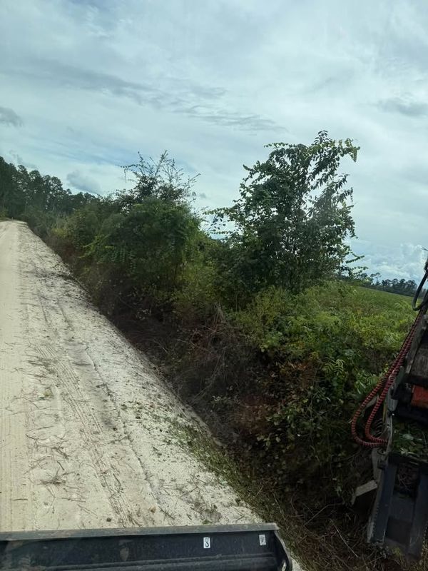 Land Clearing