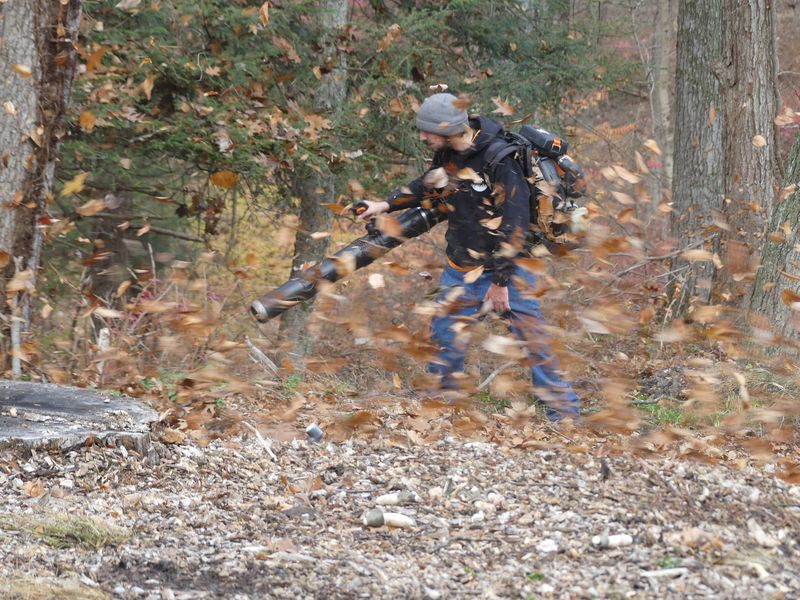 Seasonal Clean Ups