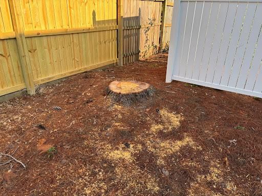 Stump Removal