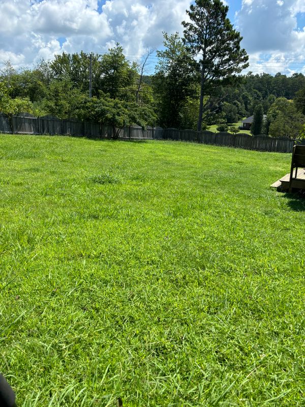 Lawn care