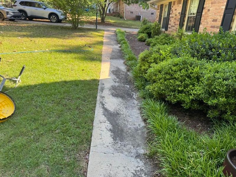 Driveway and Sidewalk Cleaning