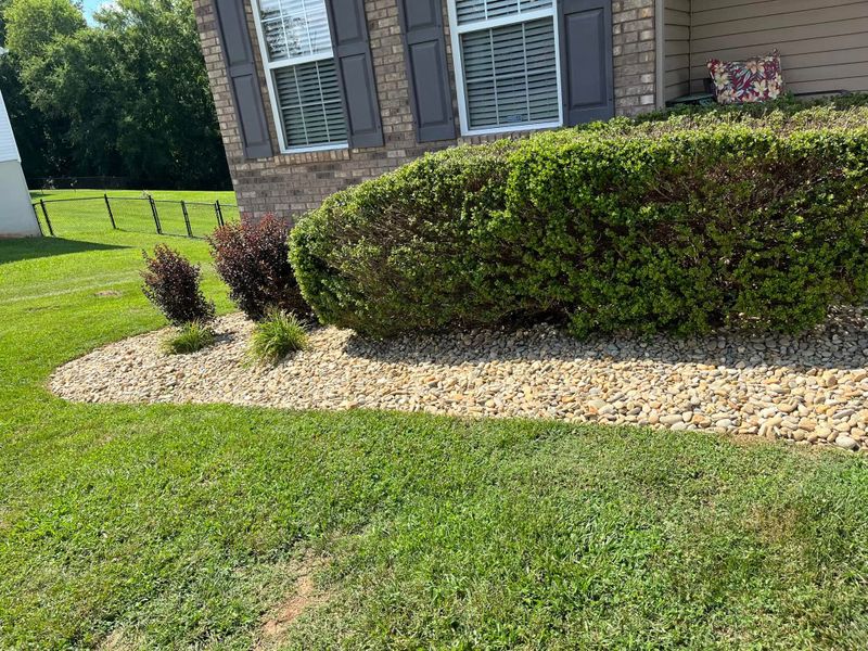 Tree & Shrub Care