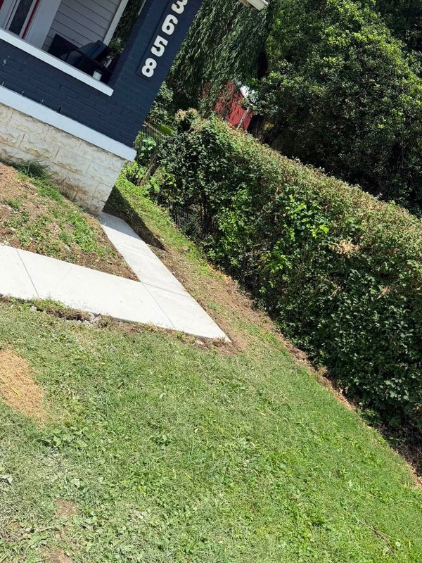 Sidewalk Installation