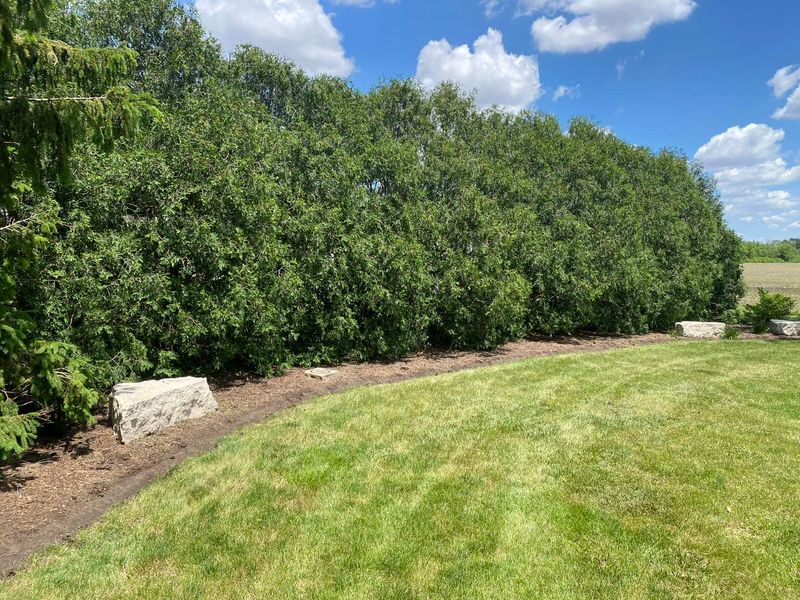 lawncare and landscaping