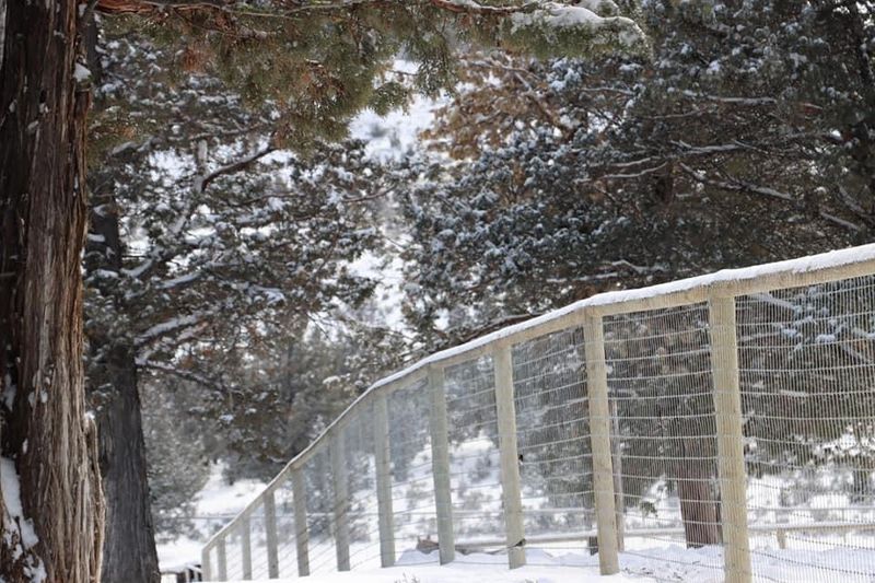 Farm and Ranch Fencing