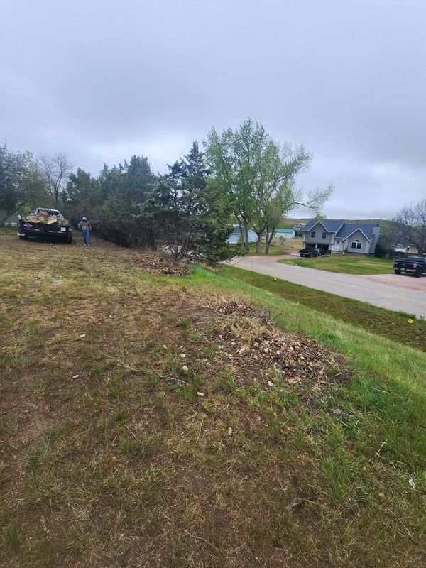 Tree Removal