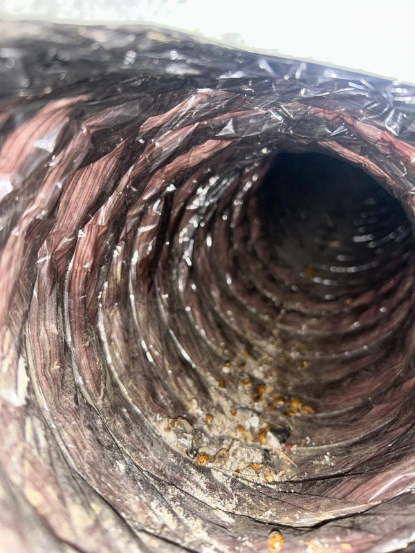 Dryer Vent Repairs