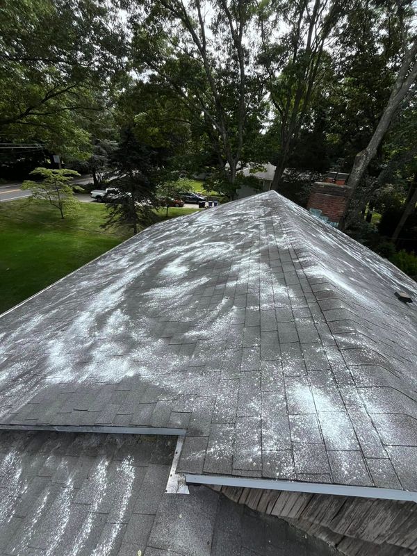 Residential Pressure Washing