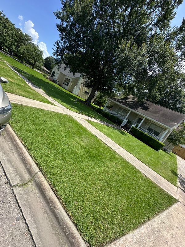 Mowing