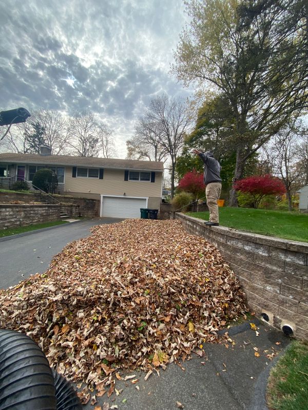 Seasonal Clean Ups