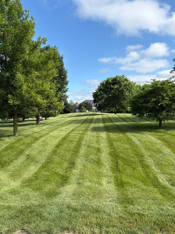 Lawn Care & Maintenance