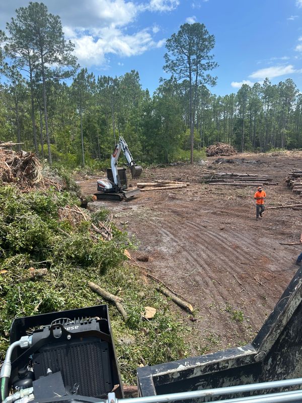 Tree Removal