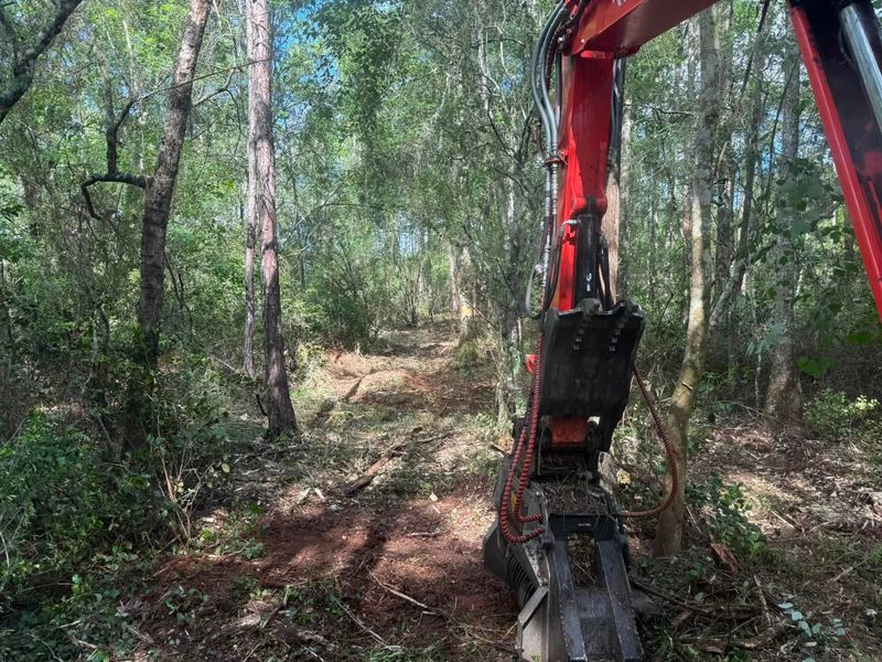 Land Clearing