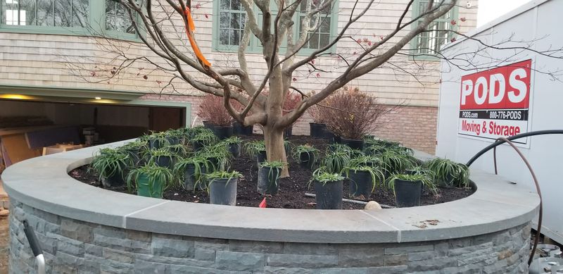 Garden Maintenance