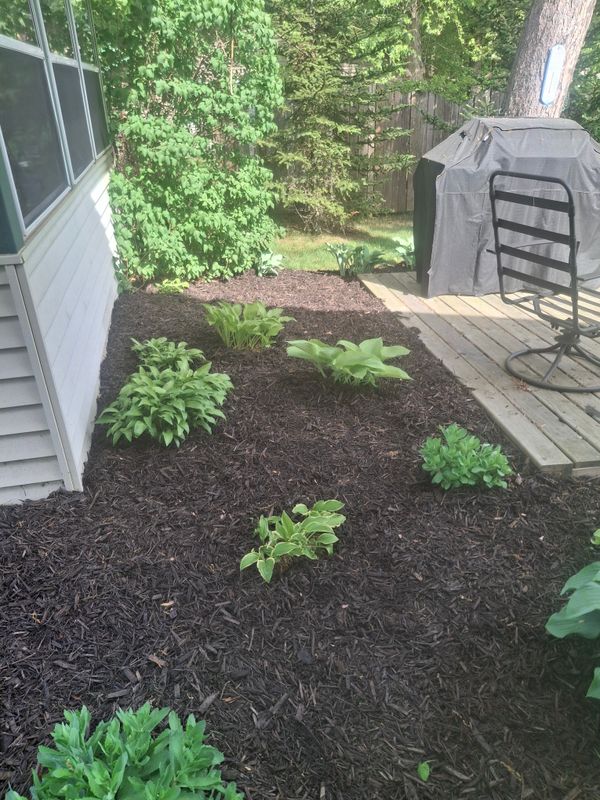 Landscape Design